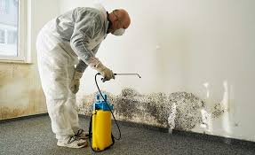 Best Environmental Consulting for Mold Prevention  in Oak Hill, TN