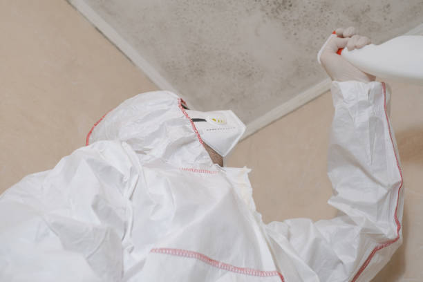 Best Attic Mold Removal  in Oak Hill, TN